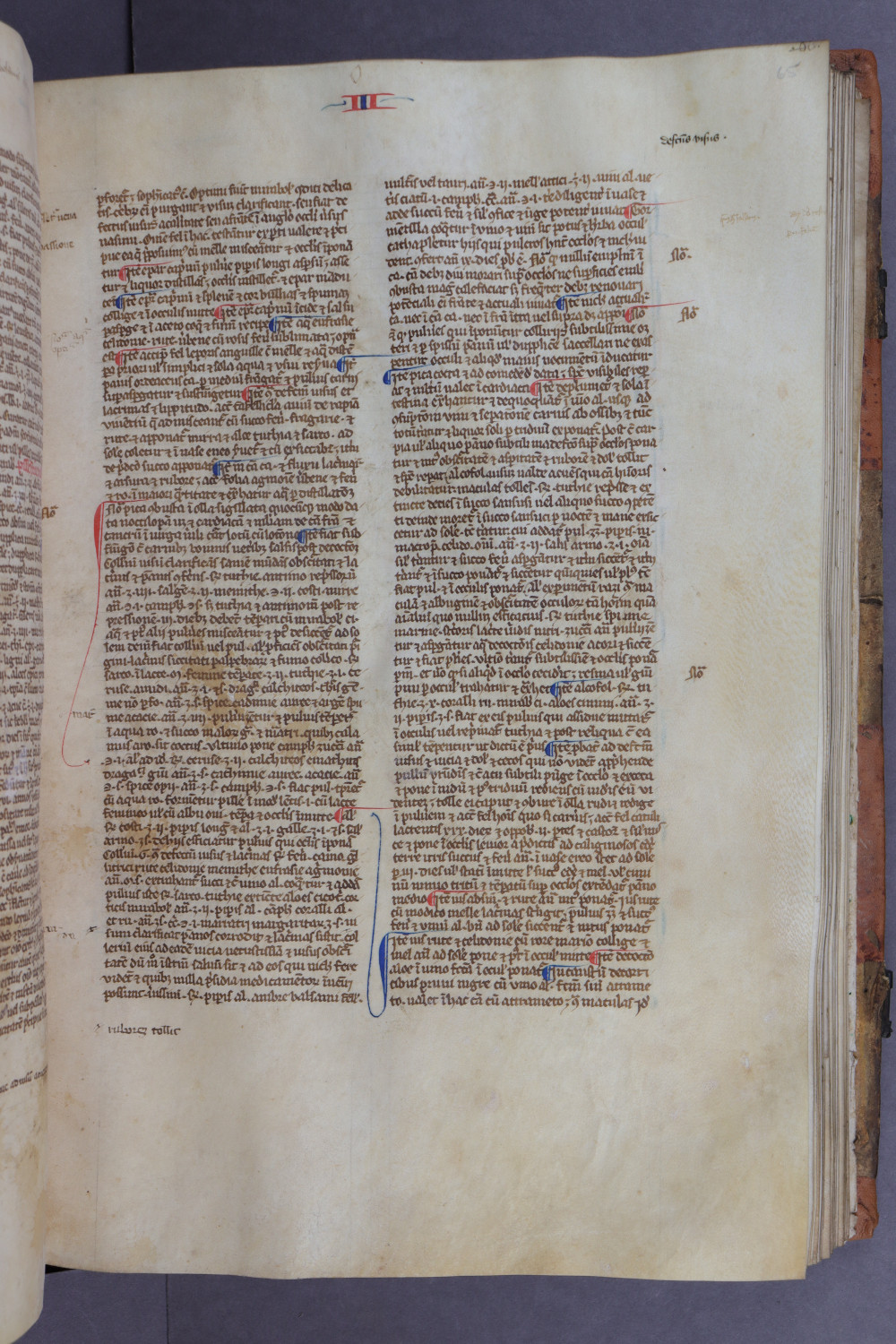 Folio 65 recto
